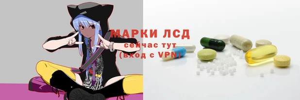 СК Новозыбков