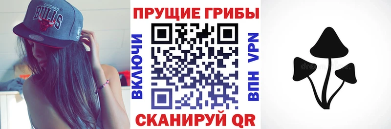 Псилоцибиновые грибы мицелий  даркнет сайт  shop официальный сайт  Чадан 
