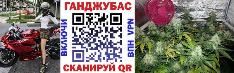 Каннабис Amnesia  закладка  Чадан 